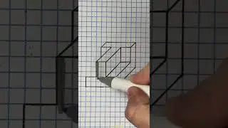 3-D optical, illusion, drawing 