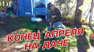 КОНЕЦ АПРЕЛЯ НА ДАЧЕ