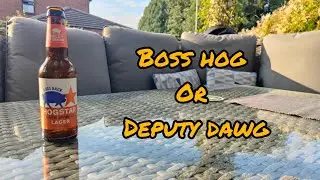 Hogstar lager 4.5% - Hogsback brewery - review No. 1782