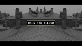 DARK and YELLOW