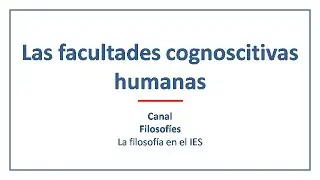 Facultades cognoscitivas humanas