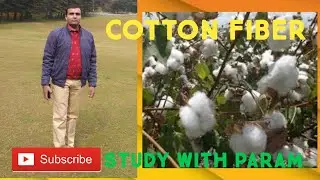 COTTON FIBER   ||  STUDY WITH PARAM  || PARMANAND