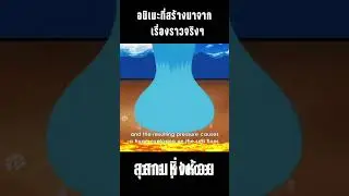 10 อนิเมะที่สร้างมาจาก"เรื่องราวจริงๆ"  | Kaos