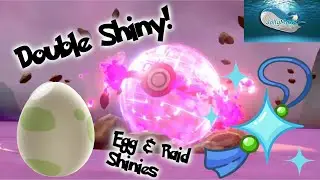 Double shiny! Also getting personally attacked by my chat!? - Shiny Hunting/Raid Montage