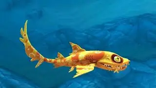 обзор акул в игре hungry shark world - Хайди (воббегонг)