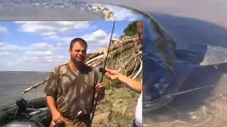 Ловля сома на Волге