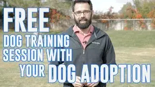 Victor Valley Animal Protective League