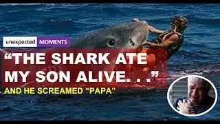 Raw Footage: Man Eaten Alive By A Shark In Egypt | Screams ‘papa’ as he is mauled to death 😱😱 😱