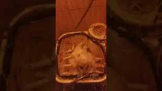Перощипалка из стиральной машины 