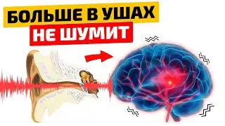Поразительный эффект! Это за 1 мин. улучшит слух, избавит от шума, звона и головокружений