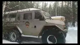 Снежный Шунут