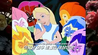 좌절한 앨리스의 모험 💊 𝙏𝙄𝙈𝙈𝙎 - 𝘼𝙡𝙞𝙘𝙚 𝙞𝙣 𝘽𝙪𝙢𝙢𝙚𝙧𝙡𝙖𝙣𝙙 [한글 가사/해석]
