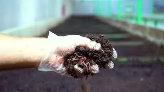 VERMİS GÜBRE TANITIM FİLMİ