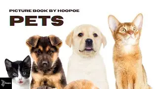 Story# 10 | PETS | Picture Book Story | Under 6 Reading #hoopoeenglish #english