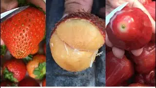 Farm fresh Ninja fruit cutting Snacks fruit,avocado, strawberries,persimmon,rose apple mixed #shorts