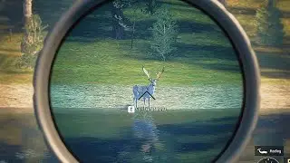 Hunting Big Diamond Fallow with the new Scope #hunter call of the wild