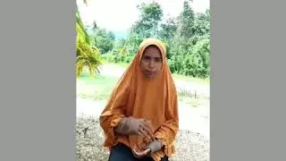 Kodifikasi Al-Qur'an pada Masa Khulafaur Rasyidin