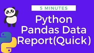 Pandas Data Report(Quick) |Generate report in 5 minutes|