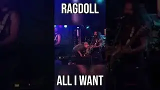 All I Want Is Everything | RAGDOLL | Live #shorts #rock #metal