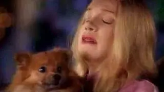 a thousand miles - white chicks