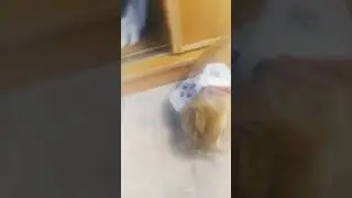 1 июня 2024 г.
