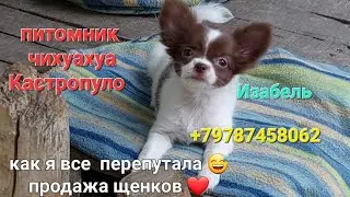 #влог