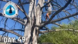 Day 49| The Final Day Before Kennedy Meadow South | Pacific Crest Trail Thru Hike