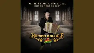 OJITOS NEGROS