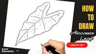 How to draw Alocasia Leaf