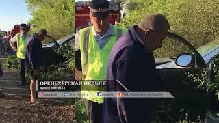 ДТП ГАИ и Citroen в Оренбурге, 14.05.2018