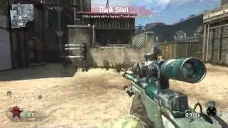 O-M-G-MEGAN_FOX - Black Ops Game Clip