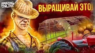 👨‍🌾НАШЁЛ САМОЕ ПРИБЫЛЬНОЕ РАСТЕНИЕ НА ФЕРМЕ🌾 l ВЫРАЩИВАЙ ЭТО на AMAZNIG ONLINE✅ (gta crmp)
