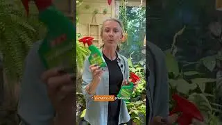 ОНА САМАЯ 🪰/ больше пользы в моем тг t.me/spottykit