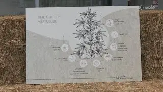 Cavac inaugure une nouvelle usine pour la transformation du chanvre