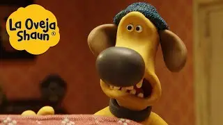 La Oveja Shaun 🐑 ¿¡PERRO!? 🐑 Dibujos animados para niños