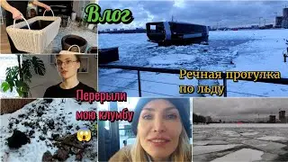 Скважина дала течь, перерыли клумбу. Прогулка на речном трамвайчике зимой. Кашпо из ротанга.