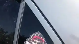 Фронт Dynamic State, наклеечка Lowbassbrothers