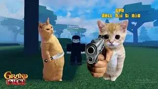 Roblox | GPO dell hài tí nào 😡😡😡