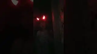 4 августа 2022 г.