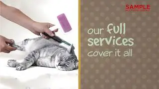 Pet Care Grooming Digital Signage