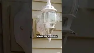 What is a wasp nest doing there?