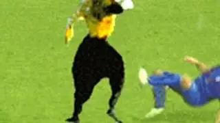 Зидан против Матерацци