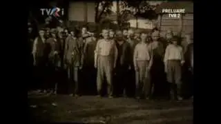 România în al II-lea Război mondial - 7. Vremelnica reîntregire