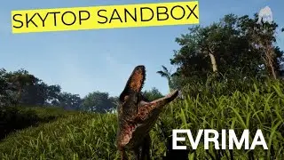 СЕРВЕР СЕНДБОКС! SKYTOP GAMES! THE ISLE EVRIMA.  