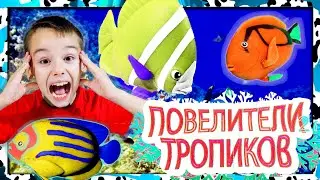 Повелители Тропиков НОВИНКА Сбабам 2020