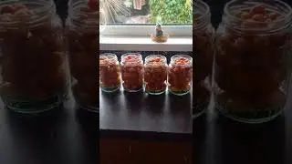 Рецепт" Помидоры в желатине "