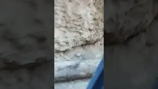 Жаны ноокат Тескек уч.даги Жаш линяси