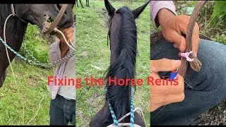 DIY: Learning how to fix the Rein on horse | Arreglando el Freno o la Rienda al CABALLO!