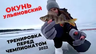 ТРЕНИРОВКА | ЧЕМПИОНАТ ПО БЛЕСНЕ СО ЛЬДА | УЛЬЯНОВСК