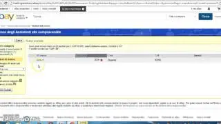 Assistente alle compravendite Ebay